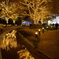 illumination