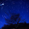 星降る夜
