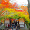 山門を飾る紅葉