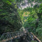 瀬戸の橋