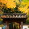 お寺の玄関口