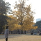 公園の子供