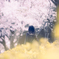 fragile beauty