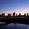 武蔵小杉の夕景