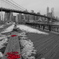 Brooklyn bridge
