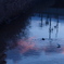 夕暮れ