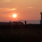 夕日