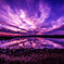 物部川の夕暮れ