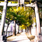 LRM_EXPORT_20161203_235917