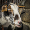 LRM_EXPORT_20161203_202435