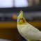 テレビもいいけど私も見てね