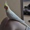落ち着く場所