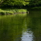 庭園