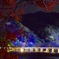 『渡月橋へ～ぃコウヨウ』