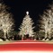 クリスマスロード