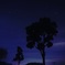 夜空を見上げ