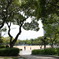 公園一角