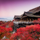 独り占めの清水寺