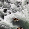 The Rafting