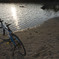 自転車