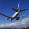 B-787　華麗なる翼