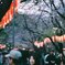 桜まつり