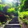 照らす光