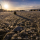 Sunshine at Kauppatori