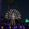 イルミネーションに咲く花火