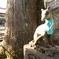 入魂