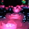 煌めく花