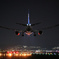 Night Arrival