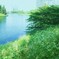 煌びやか