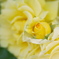 DSC01192