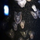 小宇宙