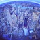the Earth