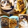 CAT BALL