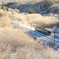 冬の日差し I -青い森鉄道フォトコンテスト-