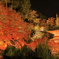 勝尾寺 紅葉