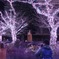 枯れ木のお化粧(^^)