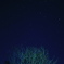 寒い冬の夜空