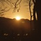 年末最後の夕陽