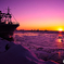 Icy Harbor