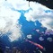空を泳ぐ鯉