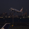 B777-200/JA007D/JAL/羽田空港