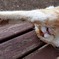 ベンチ独り占め