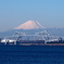 富士と海