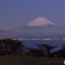 湘南国際村富士山夜景 #1