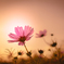 Pale pink