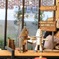 ピザ屋！